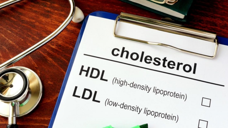 Hạt chia giúp tăng cholesterol HDL