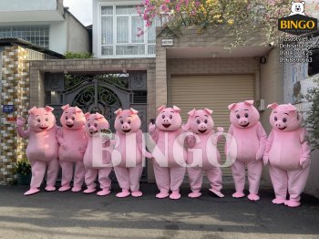 mascot-heo hong-bingo costumes (4).JPG