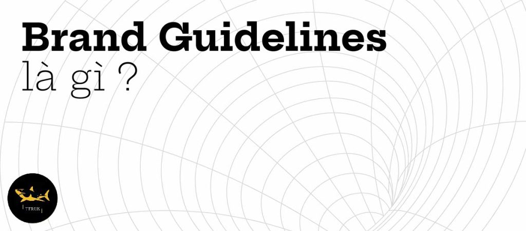 Brand Guideline Là Gì? Tầm Quan Trọng Của Brand Guideline
