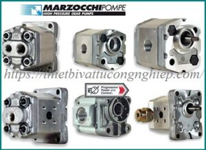 Marzocchi-Gear-Pumps-Vietnam-Distributor-300x218.jpg
