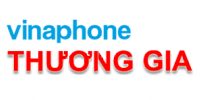 goi-cuoc-thuong-gia-vinaphone.png